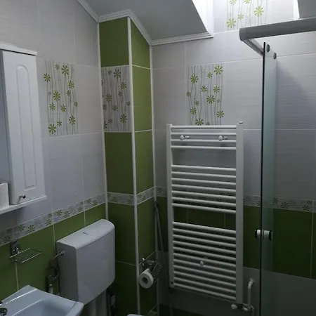 Вілла Casa Ionel *
