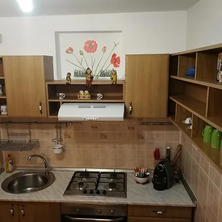 Вілла Casa Ionel *